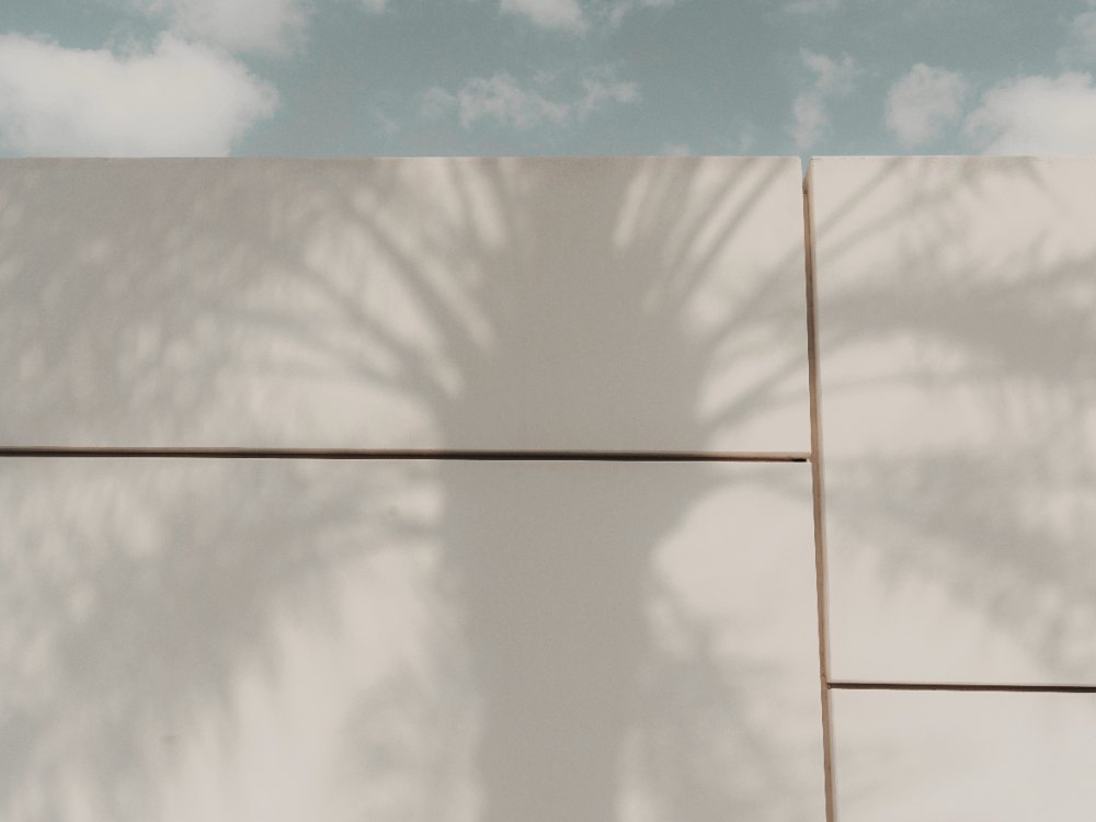Palm trees against a desert sky in the Coachella Valley